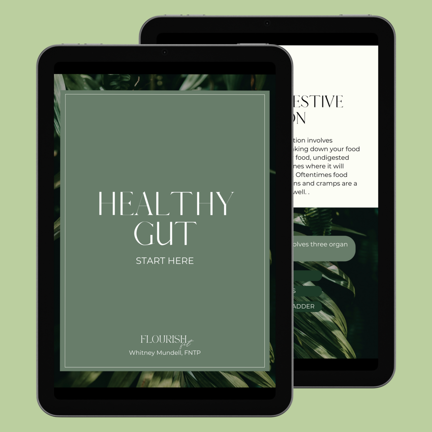 Healthy Gut Guide