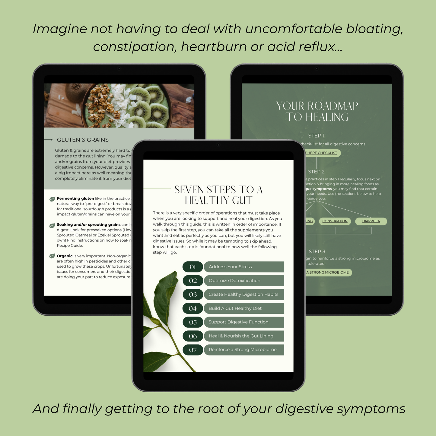 Healthy Gut Guide